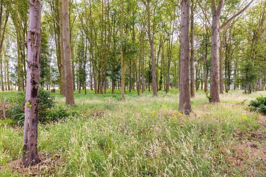 Additional image 14 of Massingham Way, Waterbeach, Cambridge, CB25