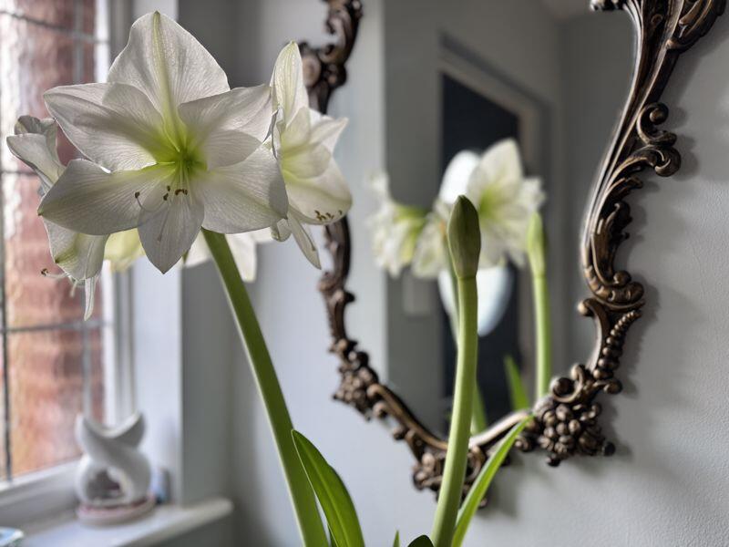 Additional image 14 of Clarence Road, Four Oaks, Sutton Coldfield, B74 4LE