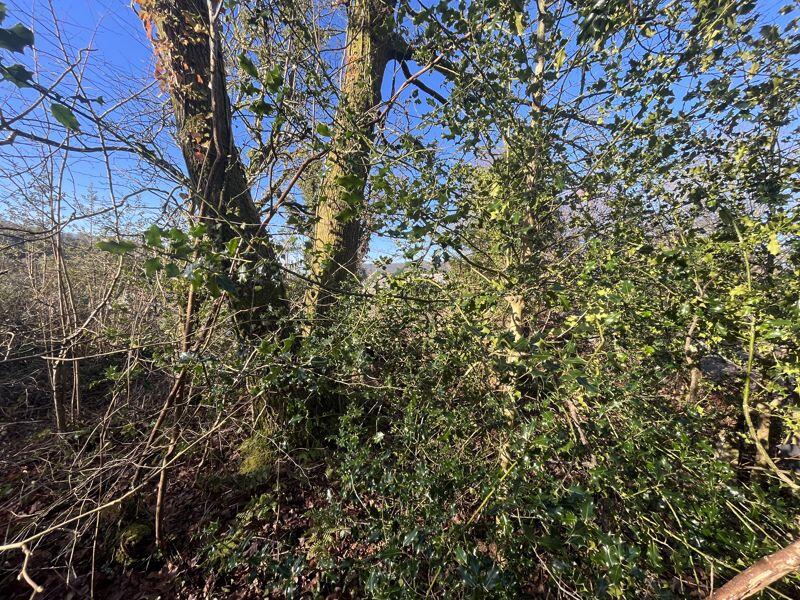 Additional image 4 of Approximately 0.108 acres of woodland, Glannant Row, Bettws, CF32 8UB