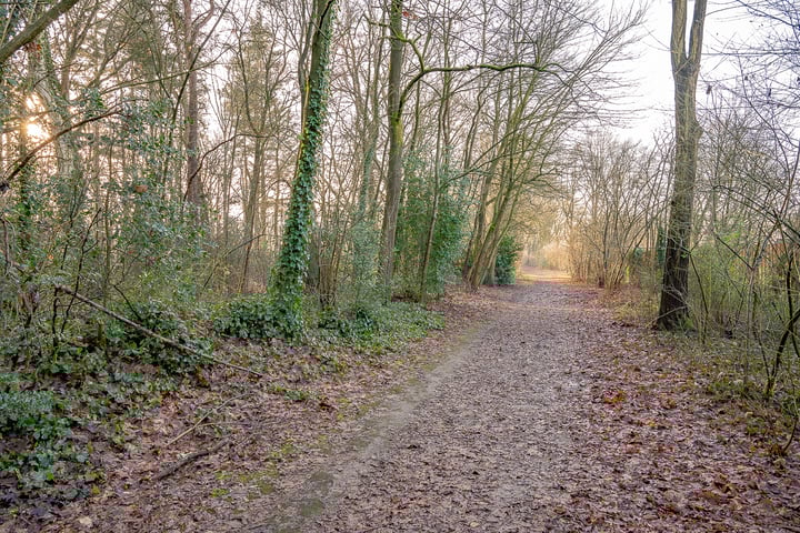 Additional image 3 of Hendrik Mesdagstraat 3, 7021 GE Zelhem