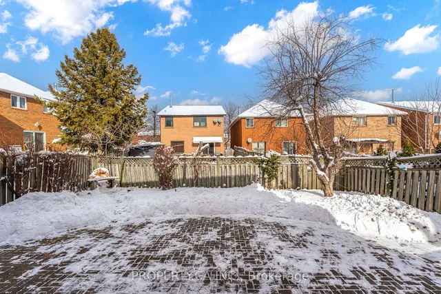 Additional image 36 of 4679 Owl Circ