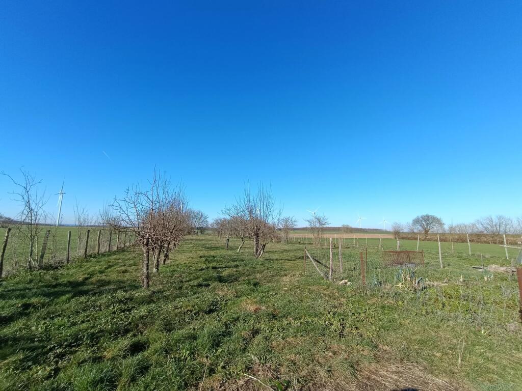 Additional image 3 of Poitou-Charentes, Deux-Sèvres, France