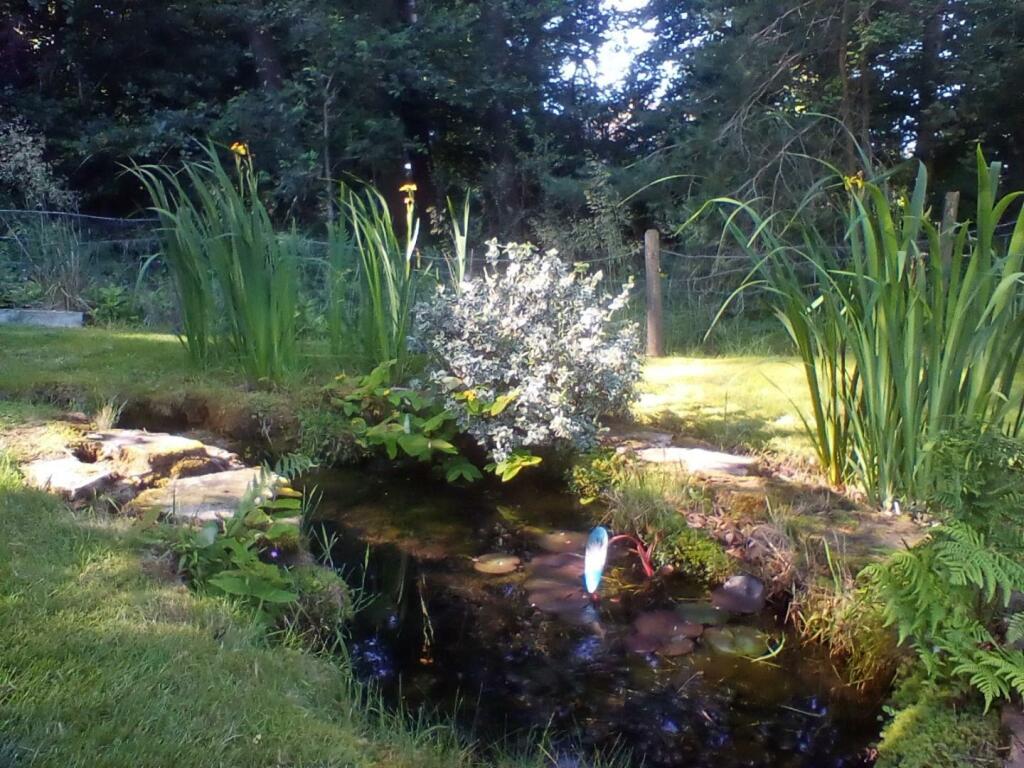 Additional image 28 of Folly Top, Eggleston, Barnard Castle