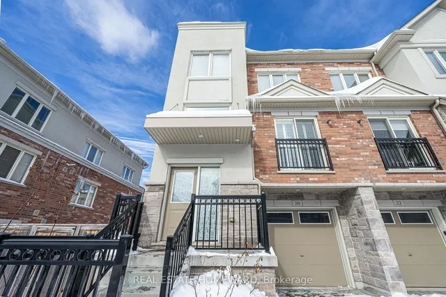 Additional image 5 of 20 Coneflower Cres