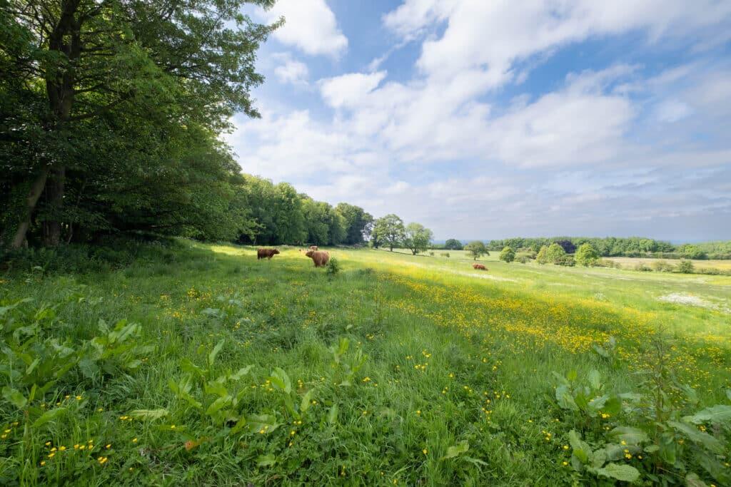 Additional image 28 of The Croft, The Ford, East Layton, Richmond, North Yorkshire