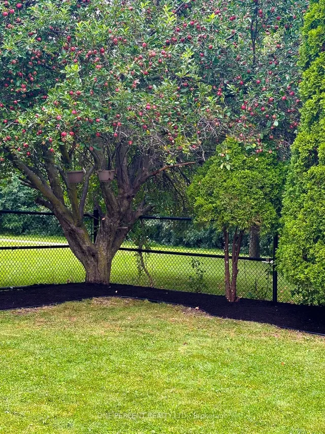 Additional image 35 of 15 Sunshade Pl