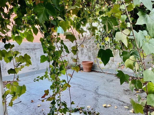 Additional image 3 of Cessenon-Sur-Orb, Languedoc-Roussillon, 34460, France