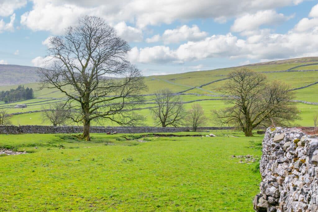 Additional image 4 of Ellershaw Farm, Halton Gill