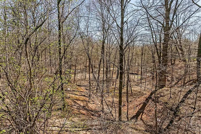 Additional image 40 of 1359 White Oaks Blvd Unit 103