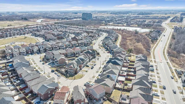 Additional image 43 of 97 Miracle Tr