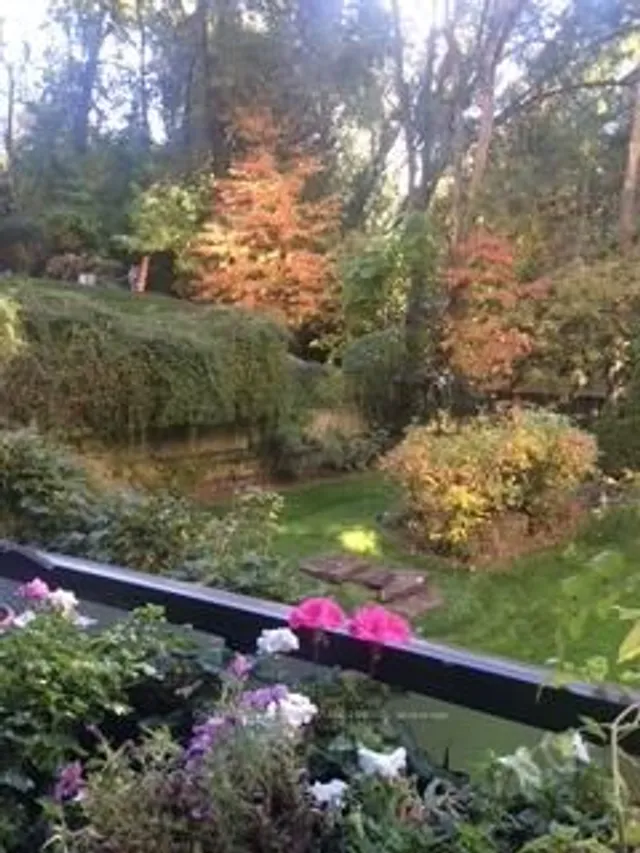 Additional image 24 of 120 Rosedale Valley Rd Unit 206