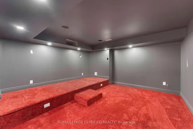 Additional image 29 of 84 Iceland Poppy Tr