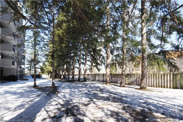 Additional image 29 of 260 Sheldon Ave Unit 103