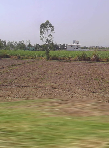 Additional image 2 of Peerumadara, Nainital