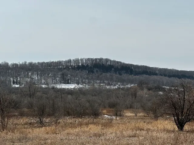 Additional image 20 of 7 Peru Rd