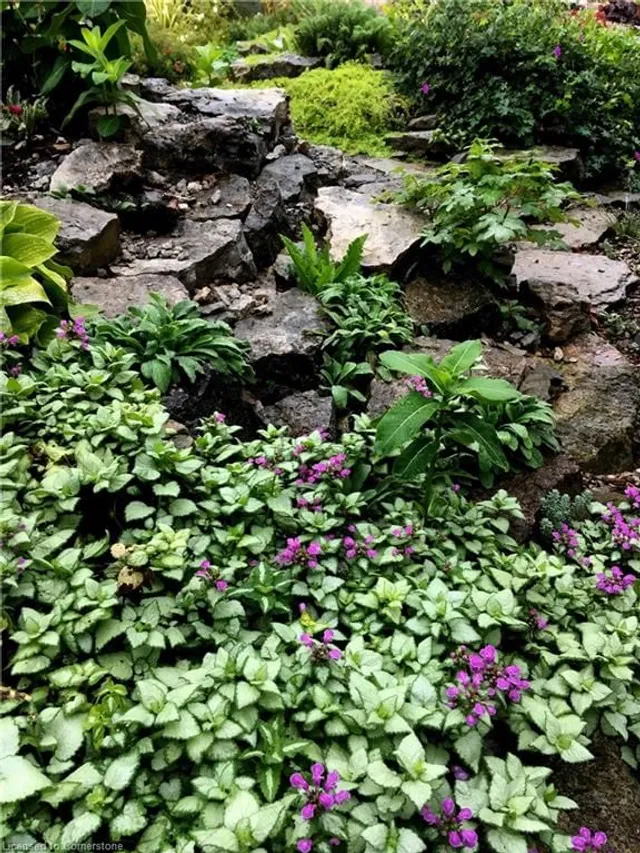 Additional image 37 of 13 Waterwheel Cres