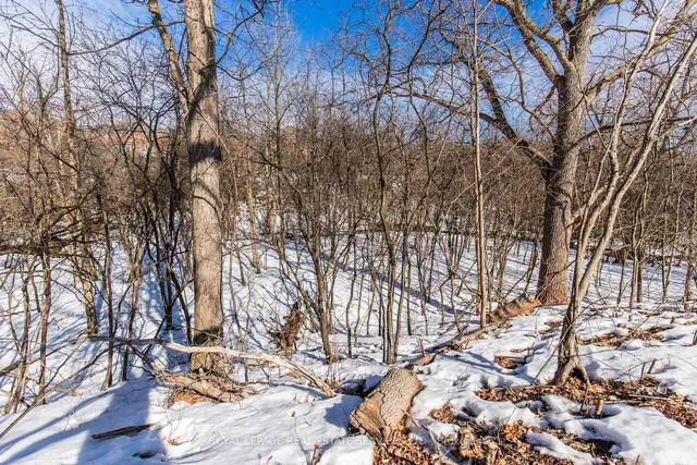 Additional image 45 of 43A Chester St Unit A