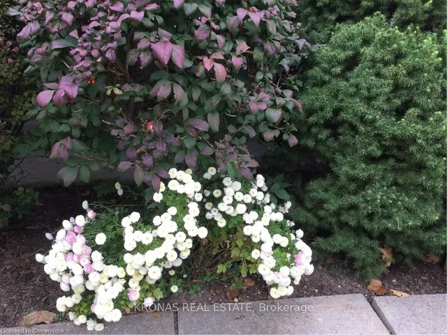 Additional image 42 of 212 SILVERBIRCH Blvd