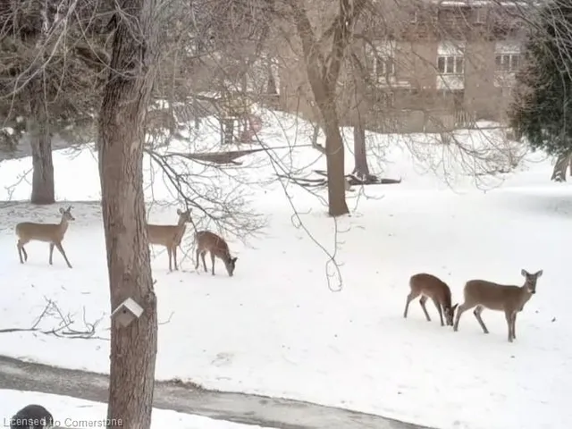 Additional image 31 of 9 Trudy Crt