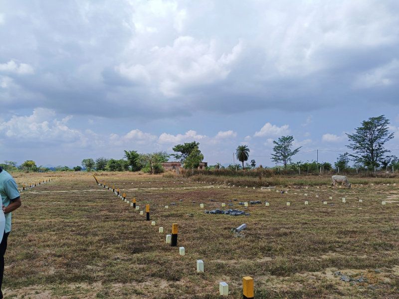 Additional image 2 of Potka, Jamshedpur