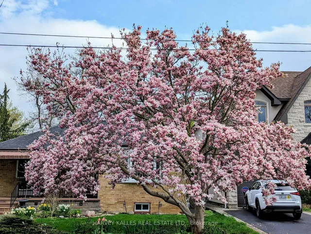 Additional image 4 of 371 Hounslow Ave