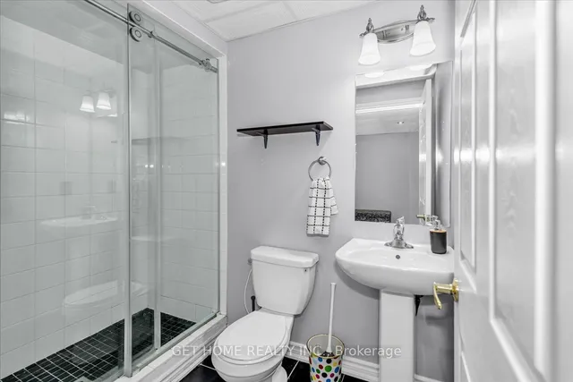 Additional image 34 of 54 Iceland Poppy Tr