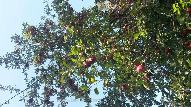 Additional image 32 of 10 Leith Hill Rd Unit 4