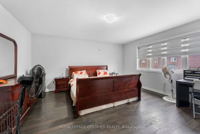 Additional image 22 of 84 Iceland Poppy Tr