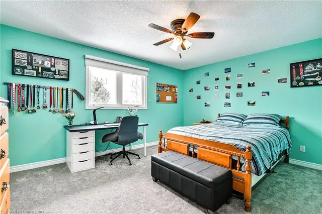 Additional image 24 of 5 Chatsworth Cres