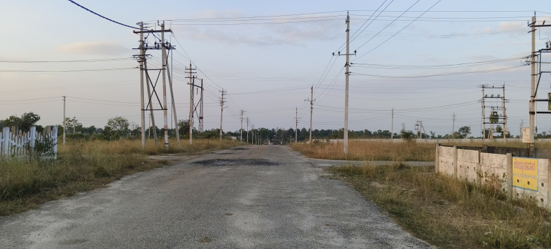 Additional image 3 of Elavala, Mysore