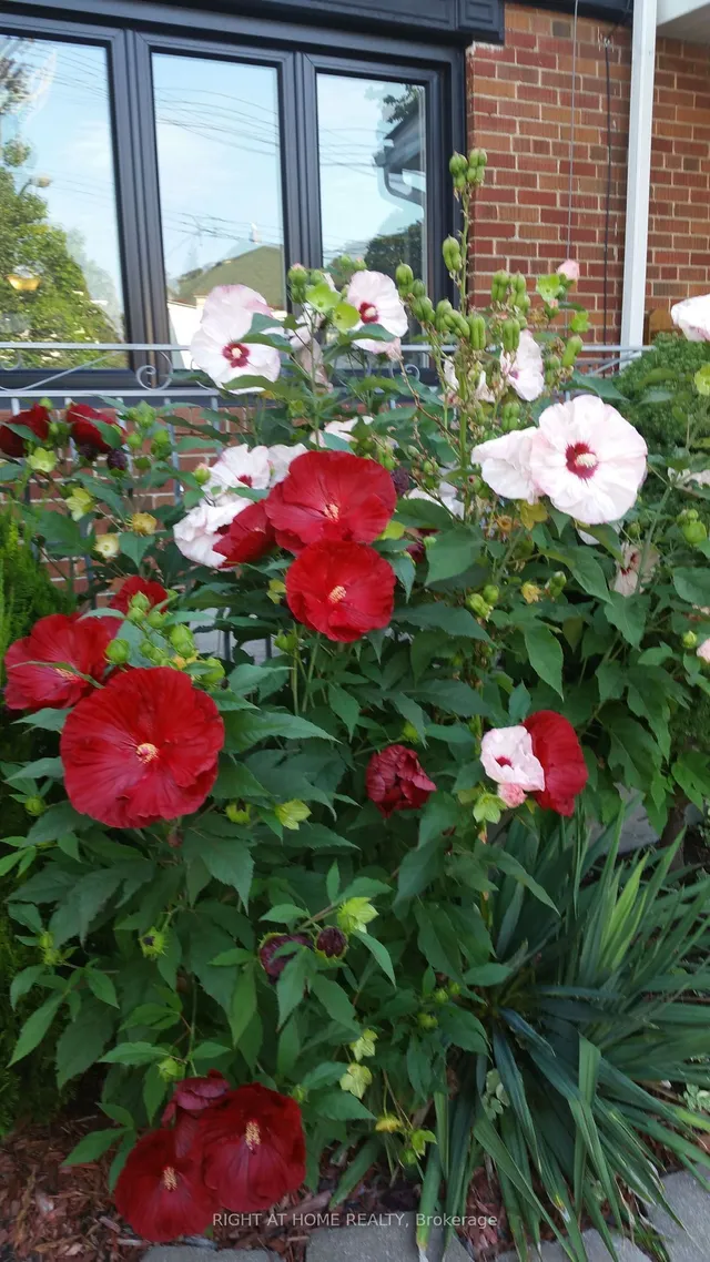 Additional image 29 of 35 Dayton Ave