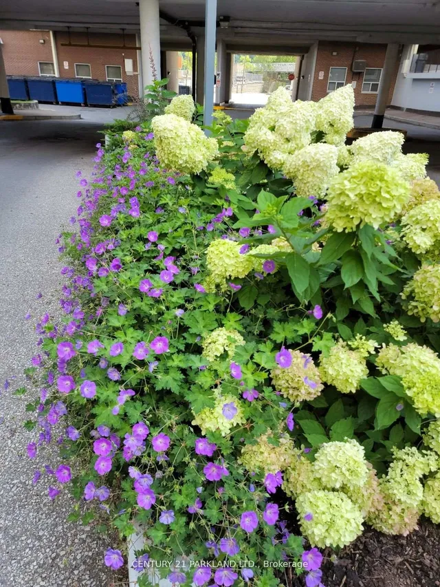 Additional image 32 of 1 Massey Sq Unit 1914