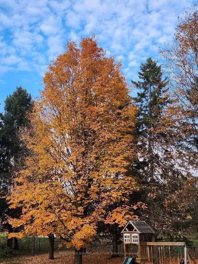 Additional image 11 of 10 Karendale Cres