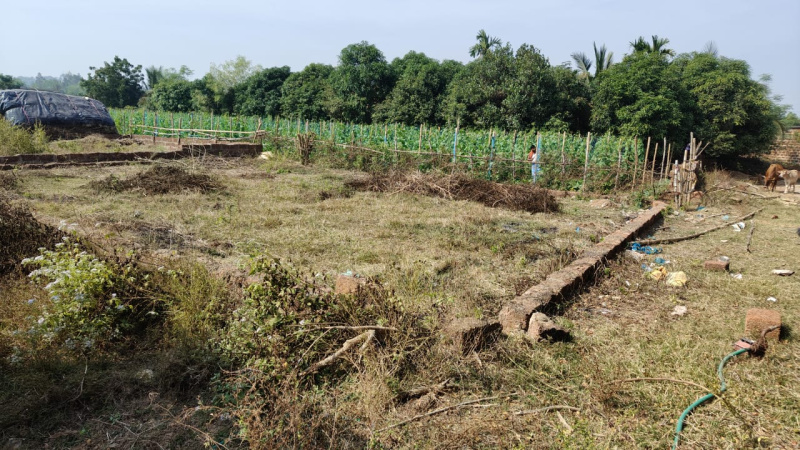 Additional image 3 of Panchagaon, Bhubaneswar