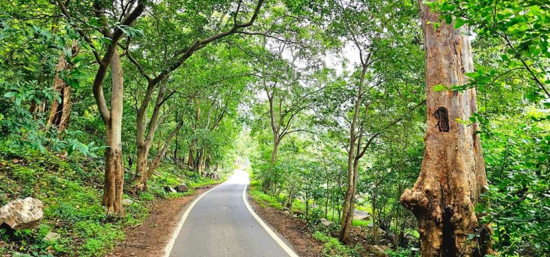Additional image 3 of Jharol, Udaipur