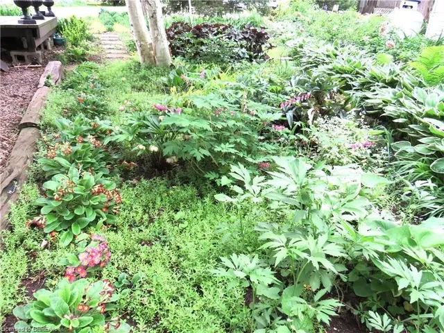 Additional image 44 of 107 Rodeo Rd