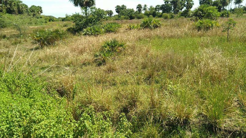 Additional image 2 of Kadapakkam, Chennai