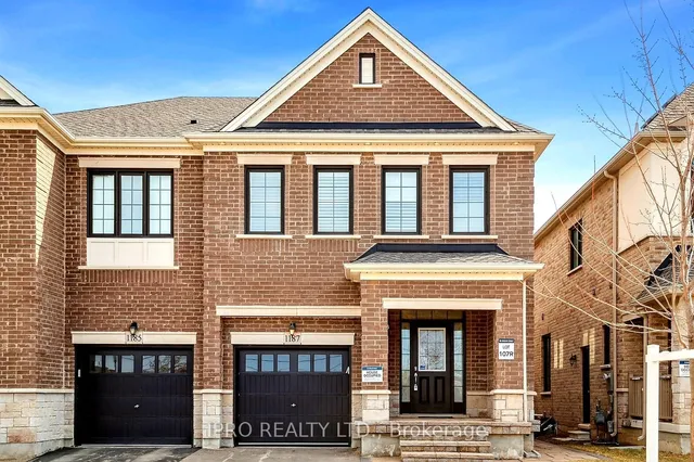 Additional image 4 of 1187 Raspberry Terr