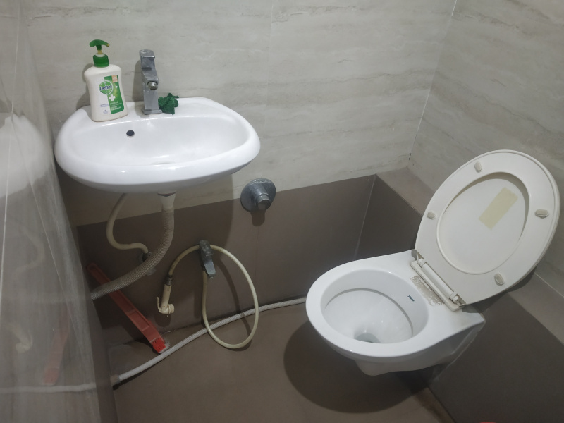 Additional image 3 of Pal, Surat