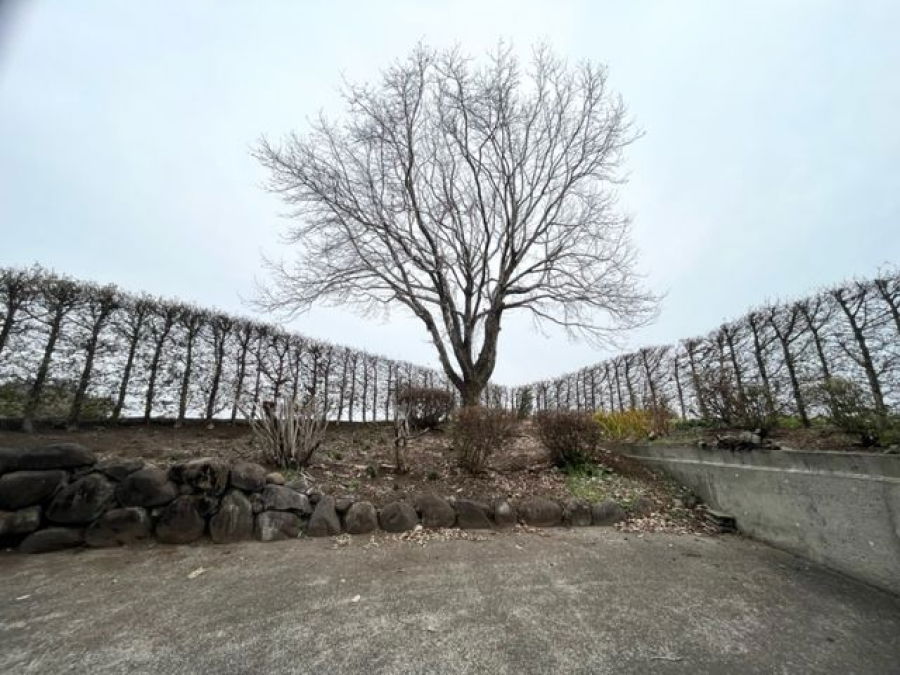 Additional image 17 of 15874-1 Nitta, Shintomi-cho, Koyu-gun, Miyazaki Prefecture