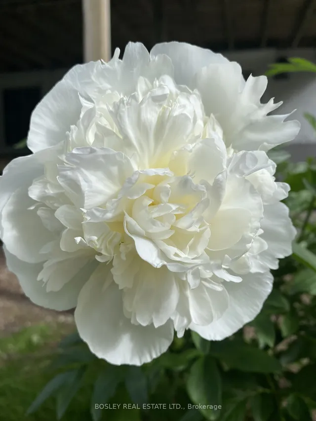 Additional image 40 of 106 Foxridge Dr