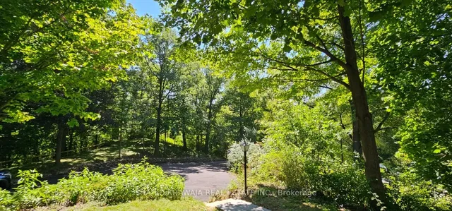 Additional image 20 of 716 Artaban Rd