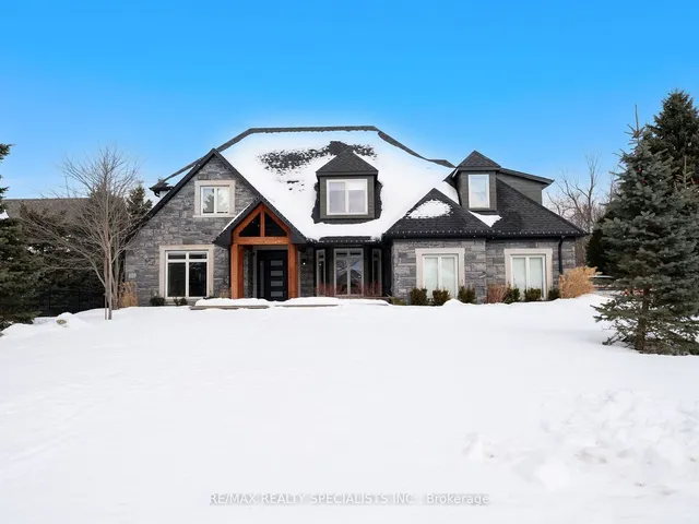 Additional image 4 of 46 Appaloosa Tr