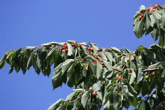 Additional image 6 of 623 O' Connor Dr