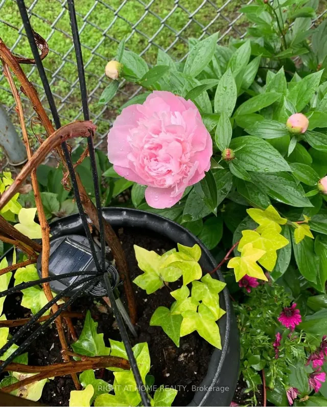 Additional image 42 of 61 Woburn Ave