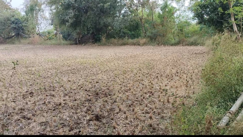Additional image 2 of Igatpuri, Nashik
