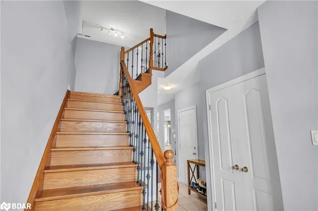 Additional image 6 of 15 Palacebeach Trail