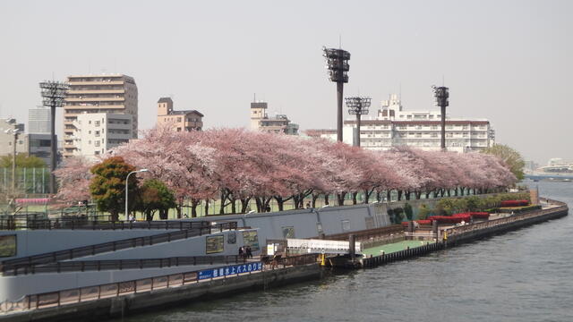 Additional image 22 of Hanakawado 1-chome, Taito-ku, Tokyo