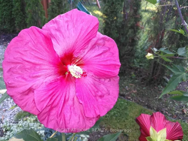 Additional image 28 of 35 Dayton Ave