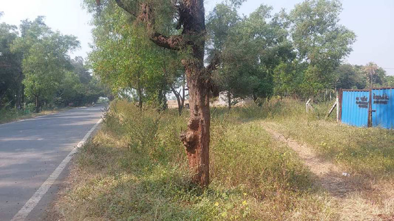 Additional image 3 of Mangrol, Surat